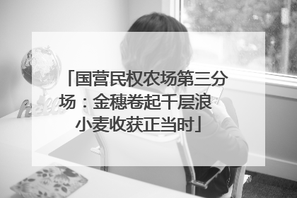 国营民权农场第三分场：金穗卷起千层浪 小麦收获正当时